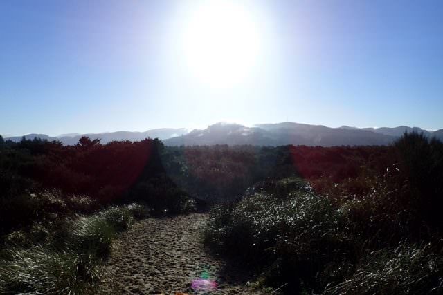 View of Coastal Range