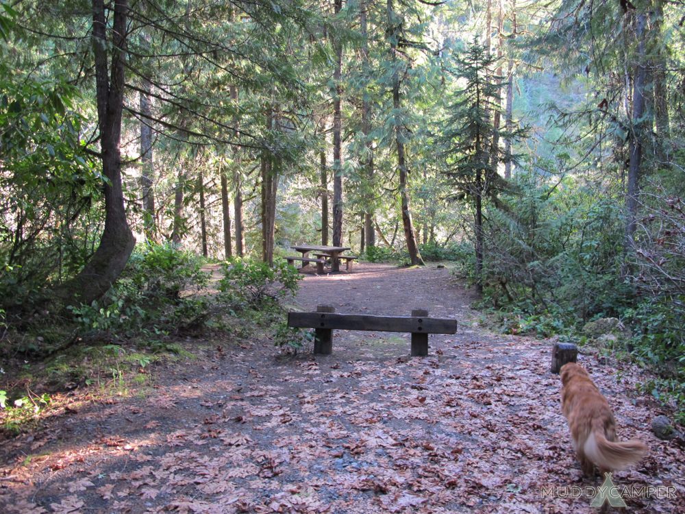 Whispering Falls Campground Oregon : North Santiam River At Whispering Falls Campground Willamette National Forest Oregon Stock Photo 1566 15283929 Superstock - Surrounded by vegetation including hemlock, rhododendron and fern, among the towering conifers, the campground is an excellent outdoor retreat designed for campers more interested in a remote experience.