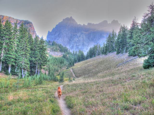 Read more about the article Canyon Creek Meadows Hike