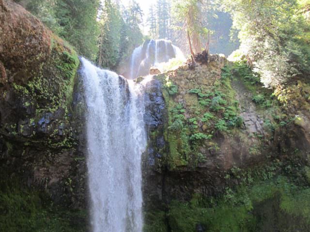 Read more about the article Hiking to Falls Creek Falls in Washington