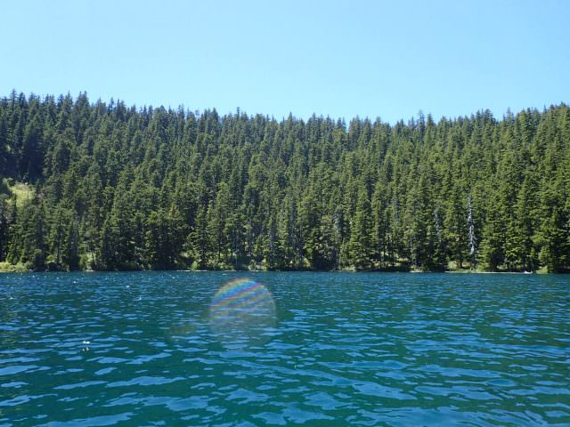 Buck Lake Oregon