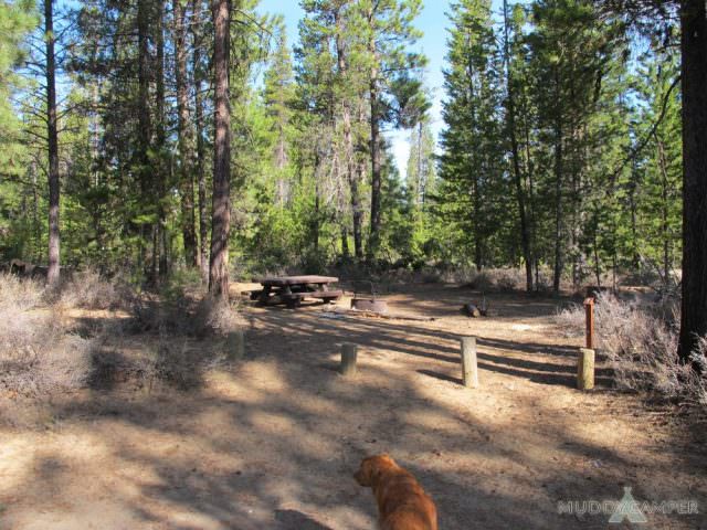 Fall River Campground Site #1