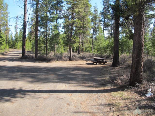 Fall River Campground Site #11