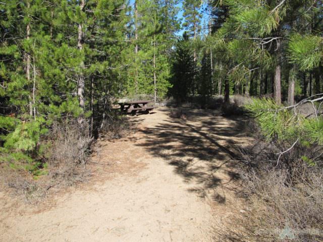 Fall River Campground Site #3