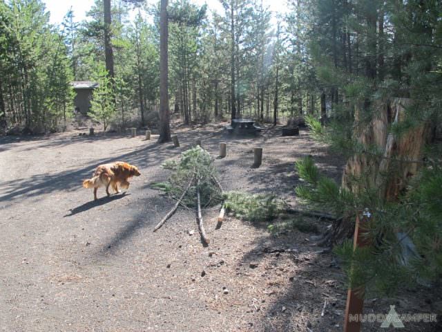 Fall River Campground Site #4