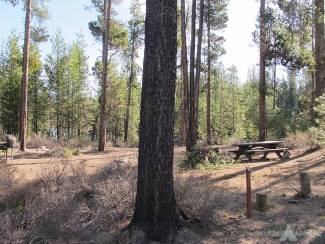 Fall River Campground Site #7