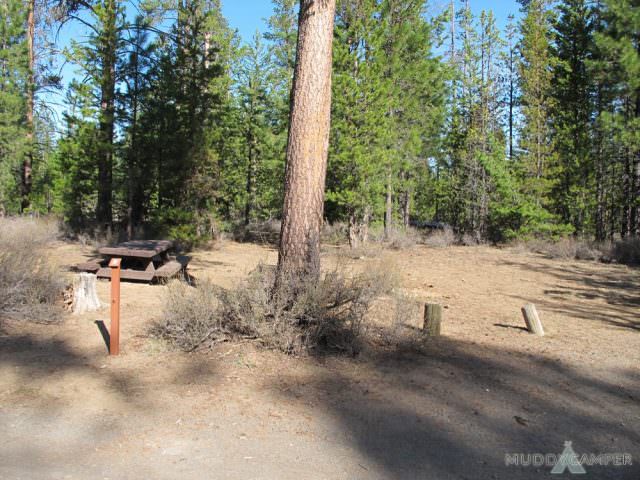 Fall River Campground Site #9