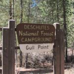 Gull Point Campground Closed