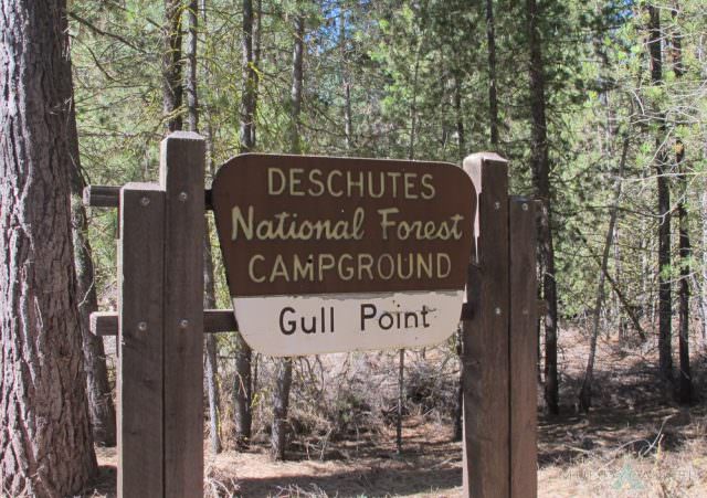 Read more about the article Gull Point Campground Closed