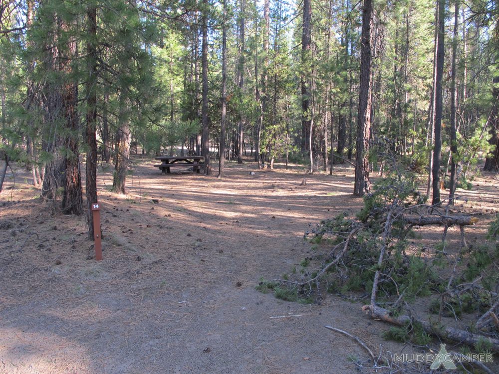Escape To Oregon’s Majesty: McKay Crossing Campground Adventure