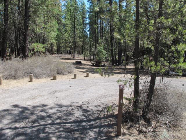 North Twin Lake Campground Site #1
