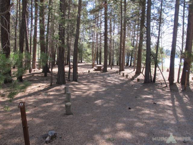North Twin Lake Campground Site #11