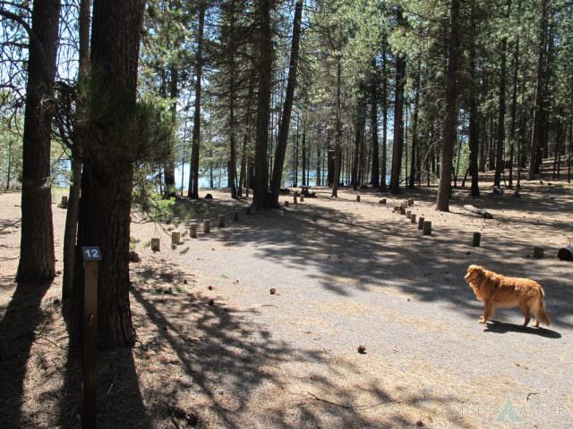 North Twin Lake Campground Site #12