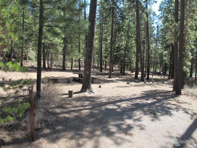 North Twin Lake Campground Site #4