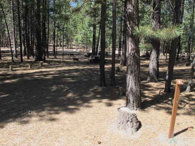 North Twin Lake Campground Site #8