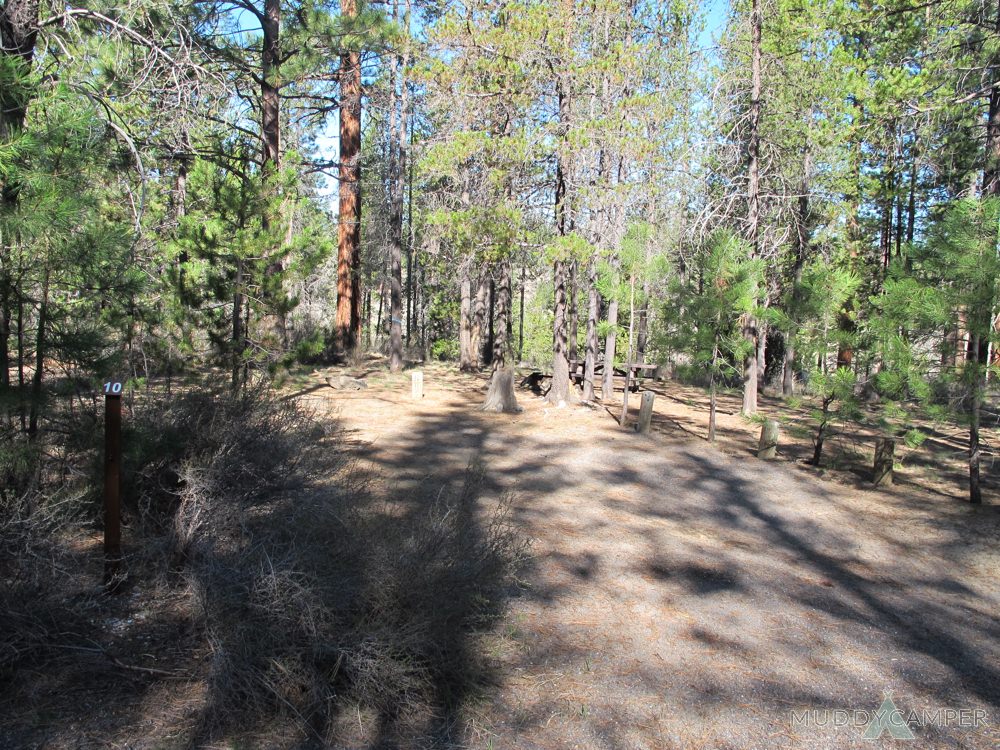 Oregon Prairie Campground: Your Gateway to Wildflower Wonders