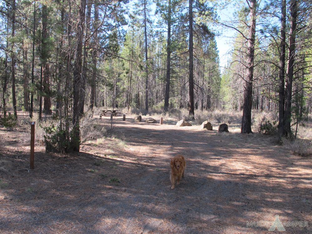 Prairie Campground Paulina Lake, Central Oregon