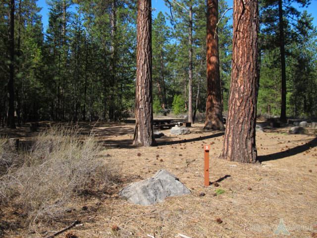 Pringle Falls Site# 2