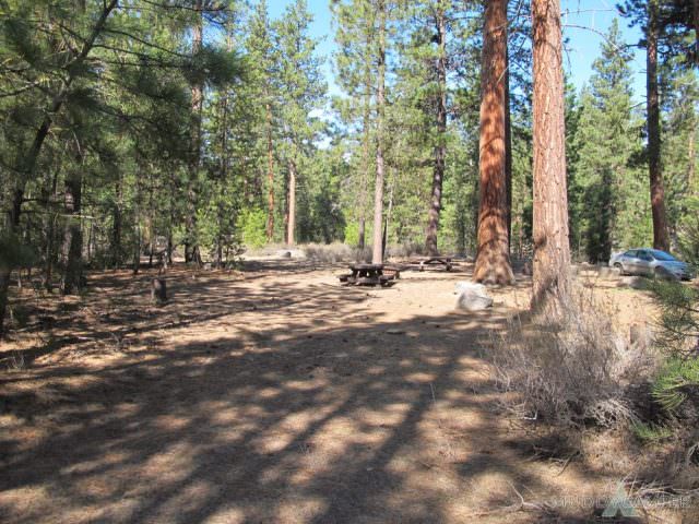 Pringle Falls Site# 2 second view