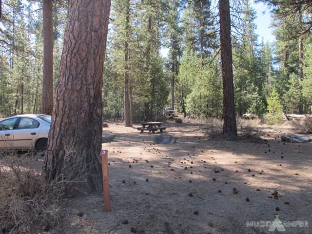 Pringle Falls Site# 3