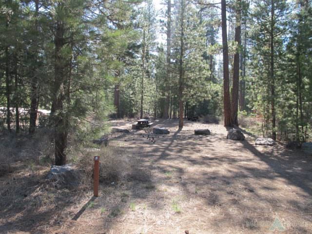 Pringle Falls Site# 5