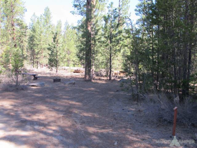 Pringle Falls Site# 7