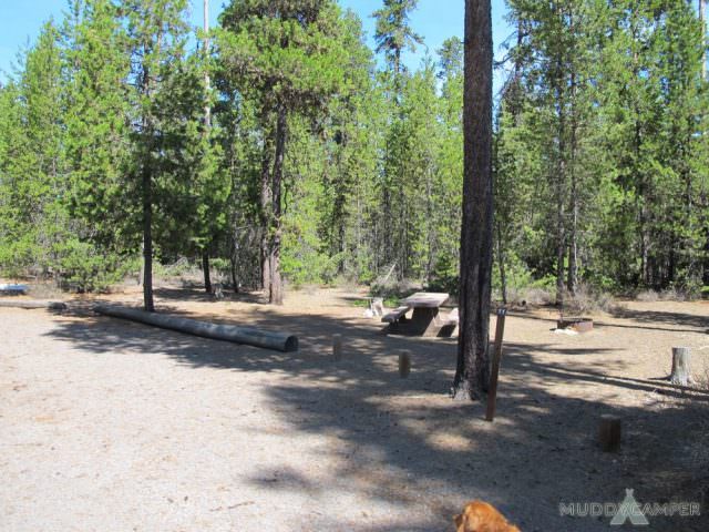Sheep Bridge Site# 11