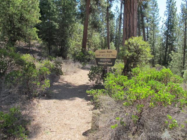 Trailhead