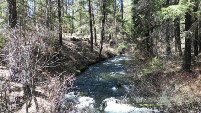 candle-creek-campground (11)