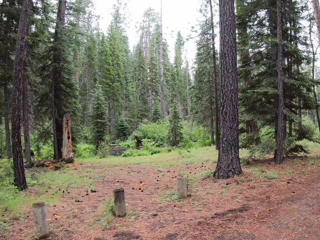 Access to Jack Creek next to campground Jack creek