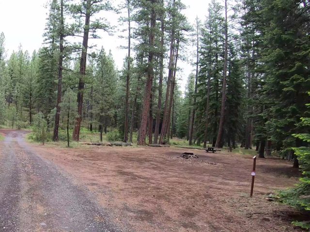 Jack Creek Campground Campsite Campsite on side of road