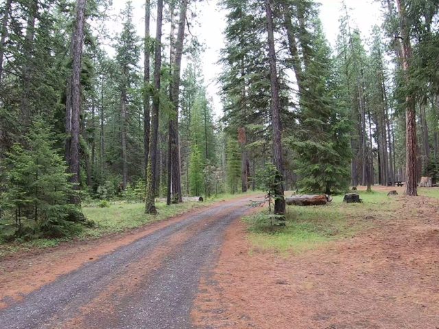 Jack Creek Campground Road Road through Jack Creek Campground