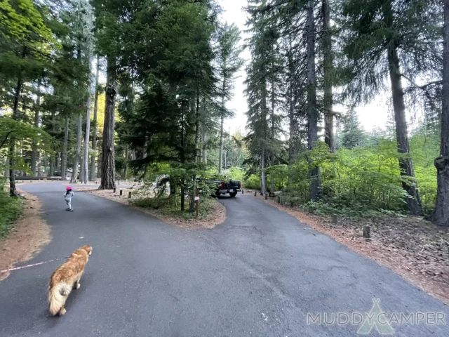 Link Creek Campground Site #22