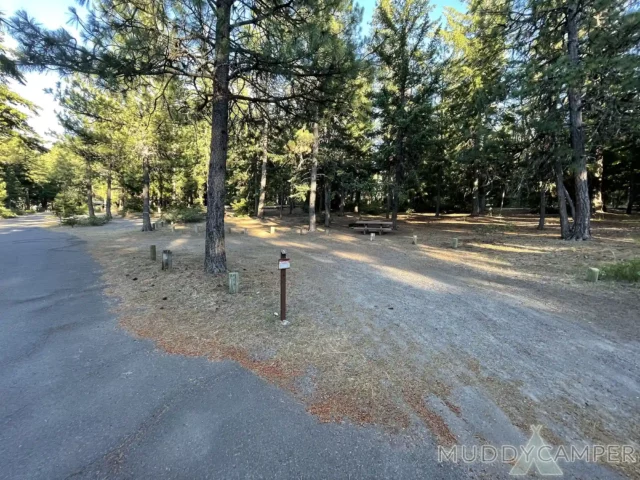 Link Creek Campground Site #1
