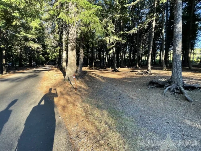 Link Creek Campground Site #5
