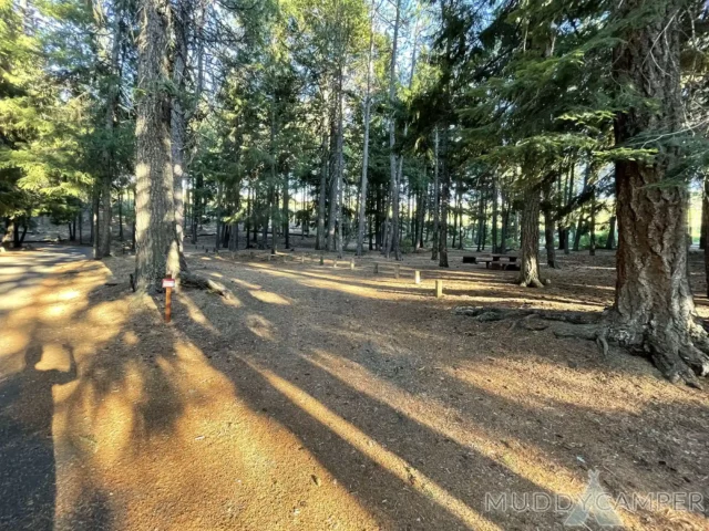 Link Creek Campground Site #6
