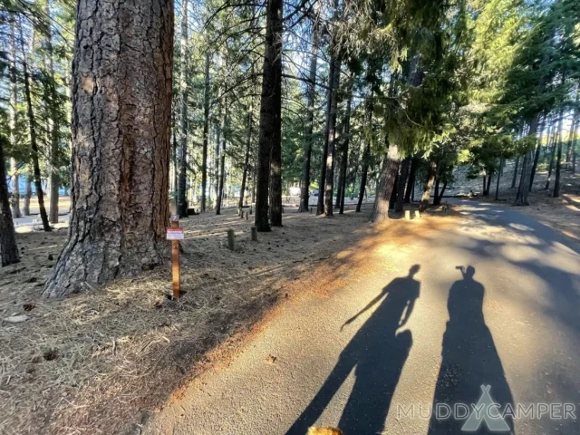Link Creek Campground Site #7