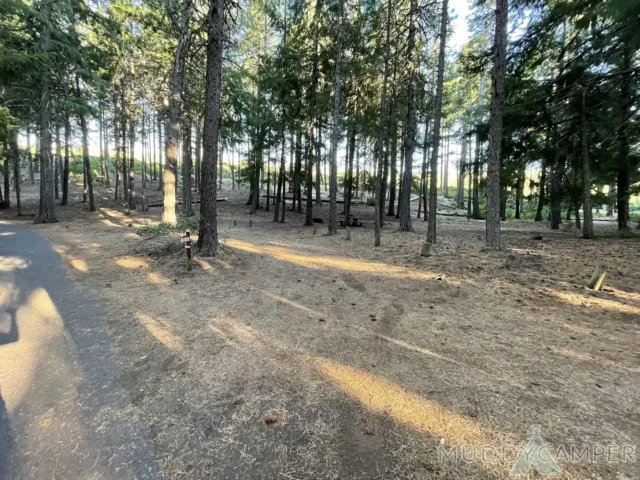 Link Creek Campground Site #8