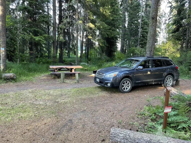 Link Creek Campground Site #19