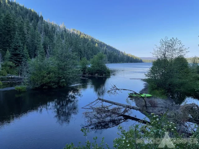 Link Creek