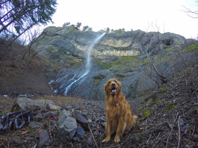 Read more about the article Mist Falls Mini Adventure