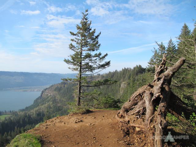 View of tree and cliffs