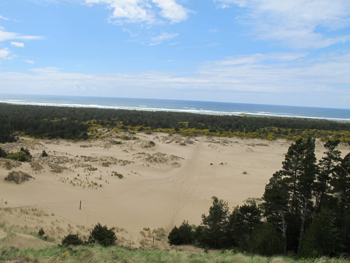 Oregon Dunes Overlook Day Use Area Oregon Coast