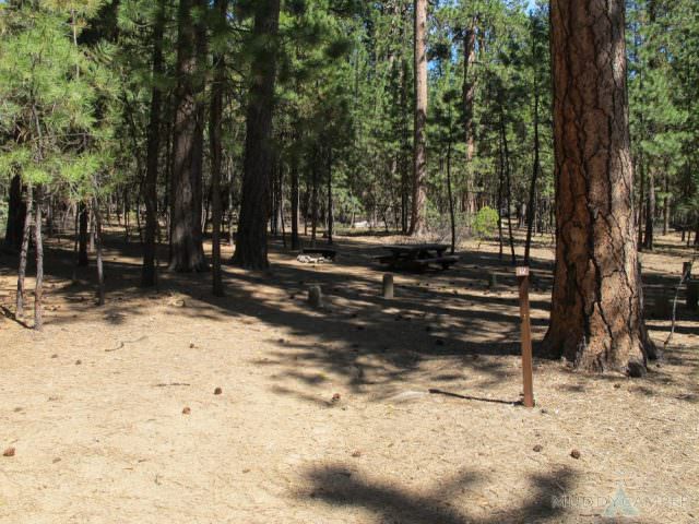 South Twin Lake Campsite # 12