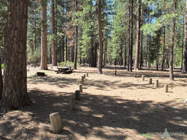 South Twin Lake Campsite # 5