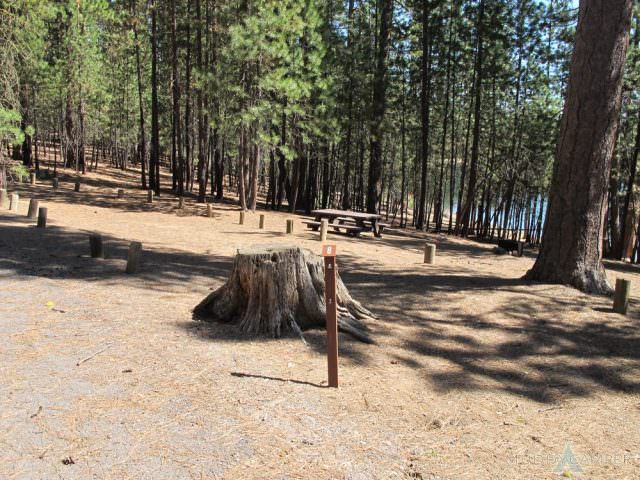 South Twin Lake Campsite # 8