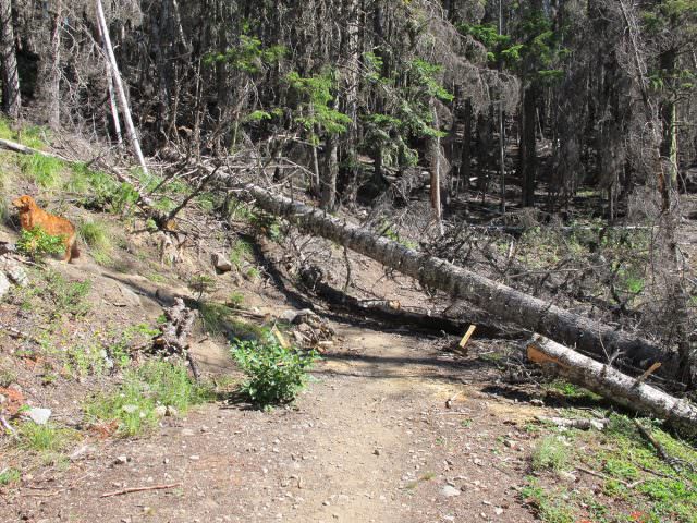 Trail Turnoff