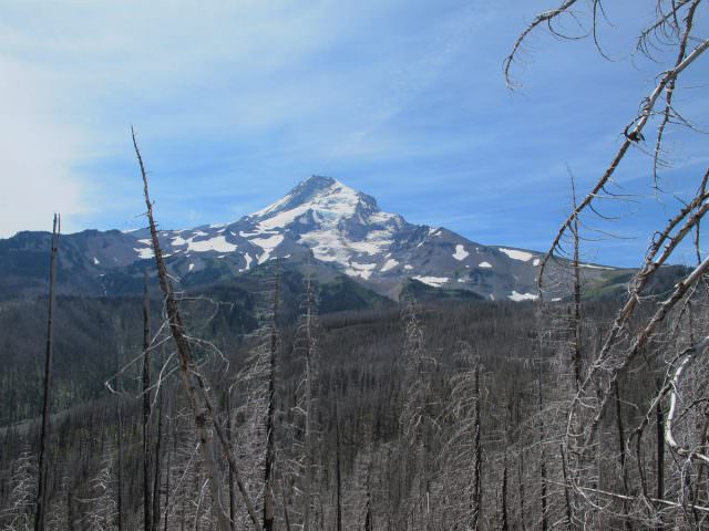 viewpoint