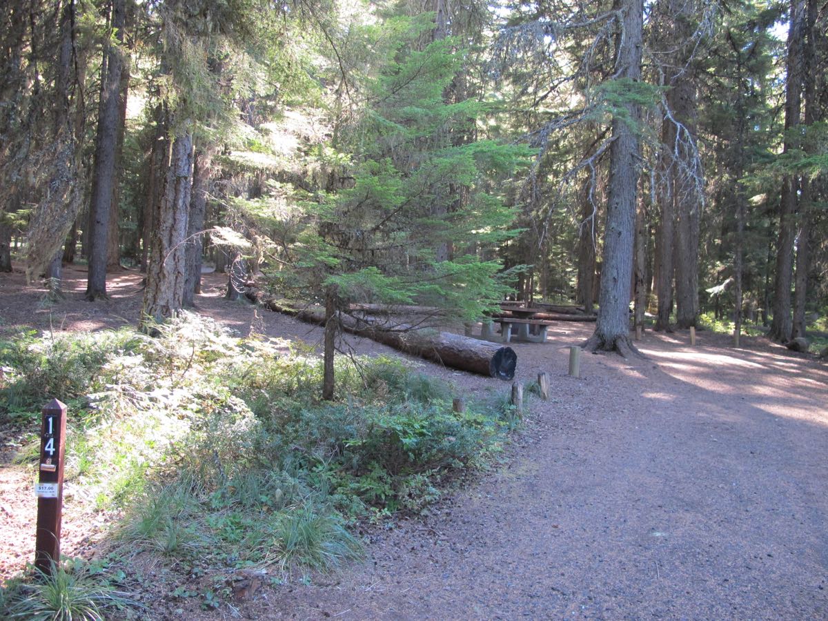 Oak Fork Campground Timothy Lake, Oregon Mt. Hood National Forest