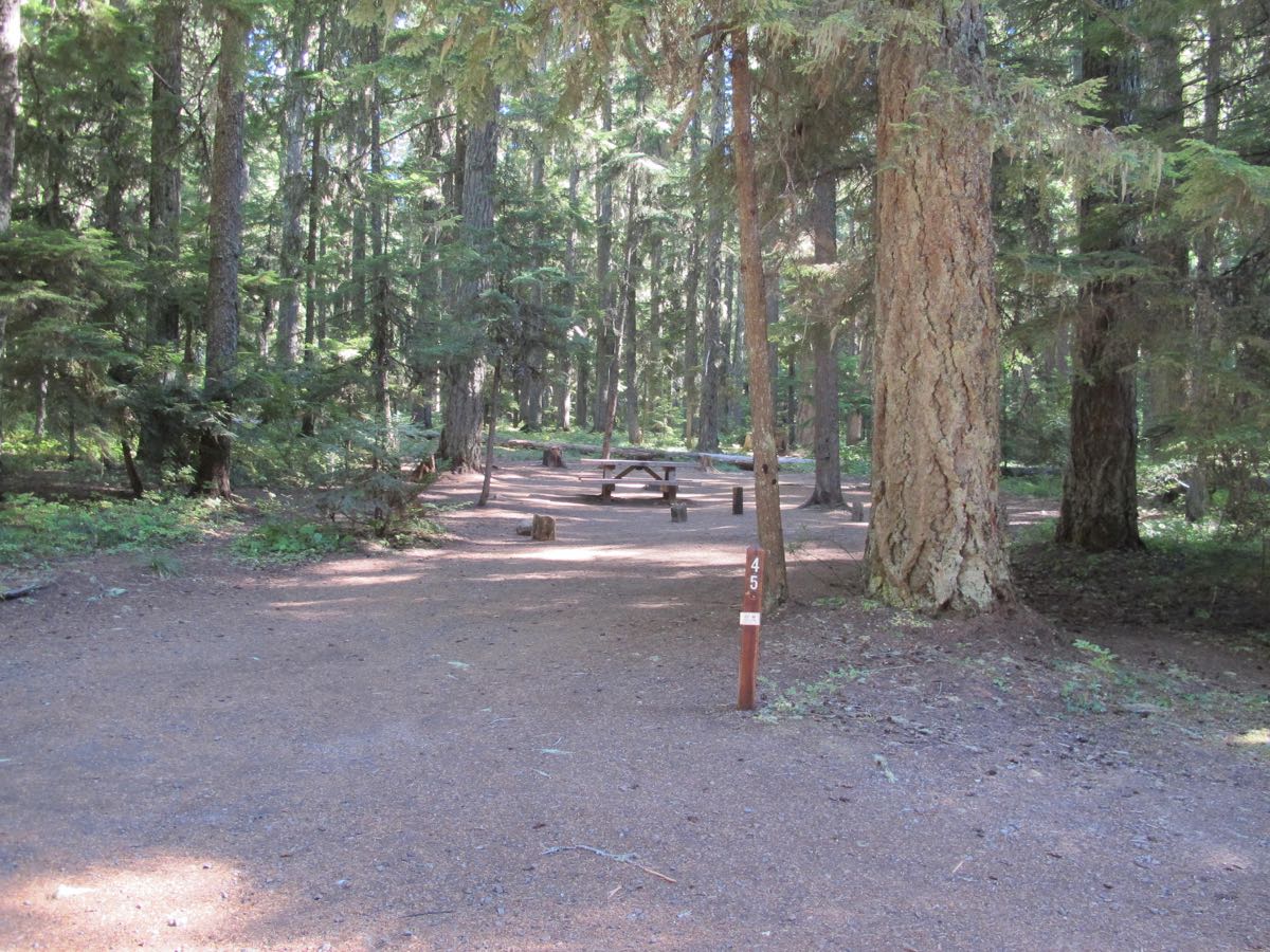 Oak Fork Campground Timothy Lake, Oregon Mt. Hood National Forest